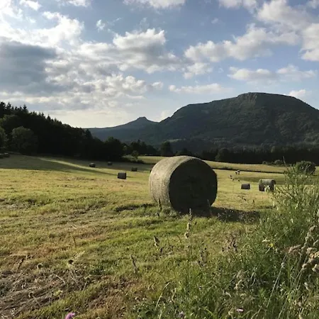 Bel T2 Duplex En Hyper Centre, 3*, Parking, 4 Pers., Proche Thermes Et Commerces - Fr-1-608-233 Appartement *