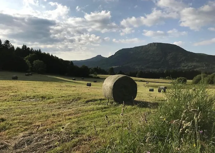 Bel T2 Duplex En Hyper Centre, 3*, Parking, 4 Pers., Proche Thermes Et Commerces - Fr-1-608-233 Appartement *