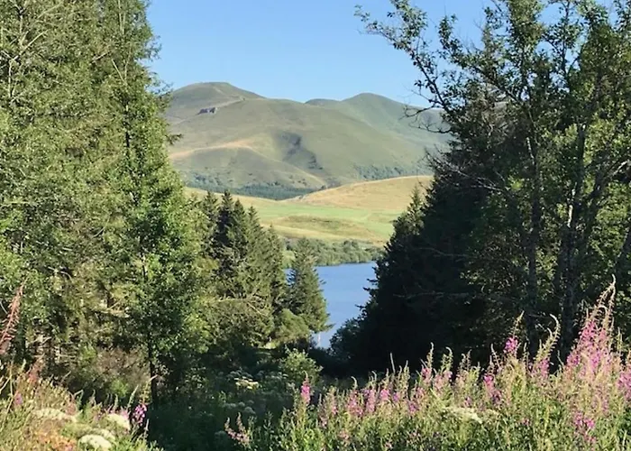 Bel T2 Duplex En Hyper Centre, 3*, Parking, 4 Pers., Proche Thermes Et Commerces - Fr-1-608-233 Appartement *